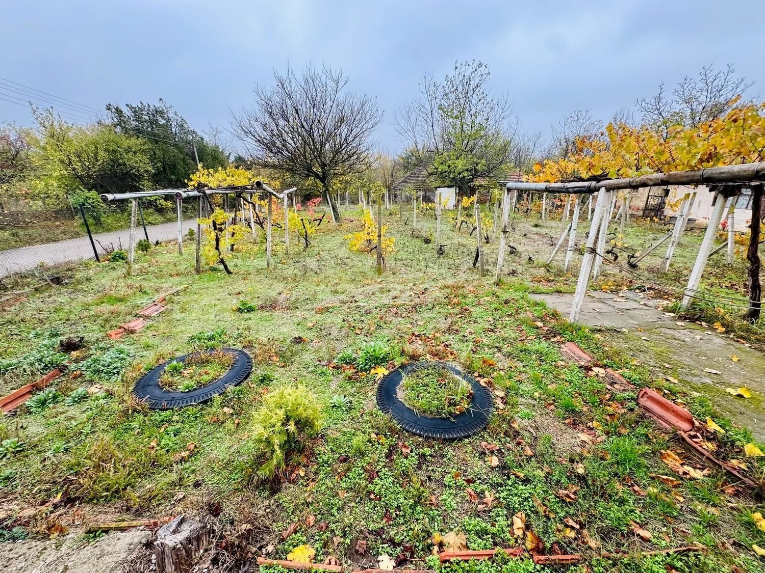 Продава КЪЩА, с. Станево, област Монтана, снимка 4 - Къщи - 53797601