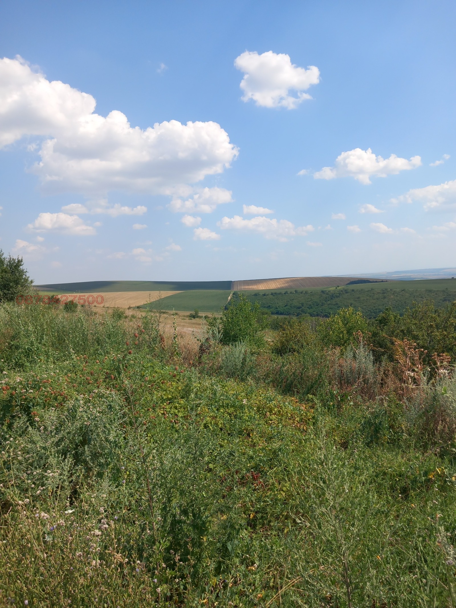 ������� ���� | Imot.bg � ����������� 16