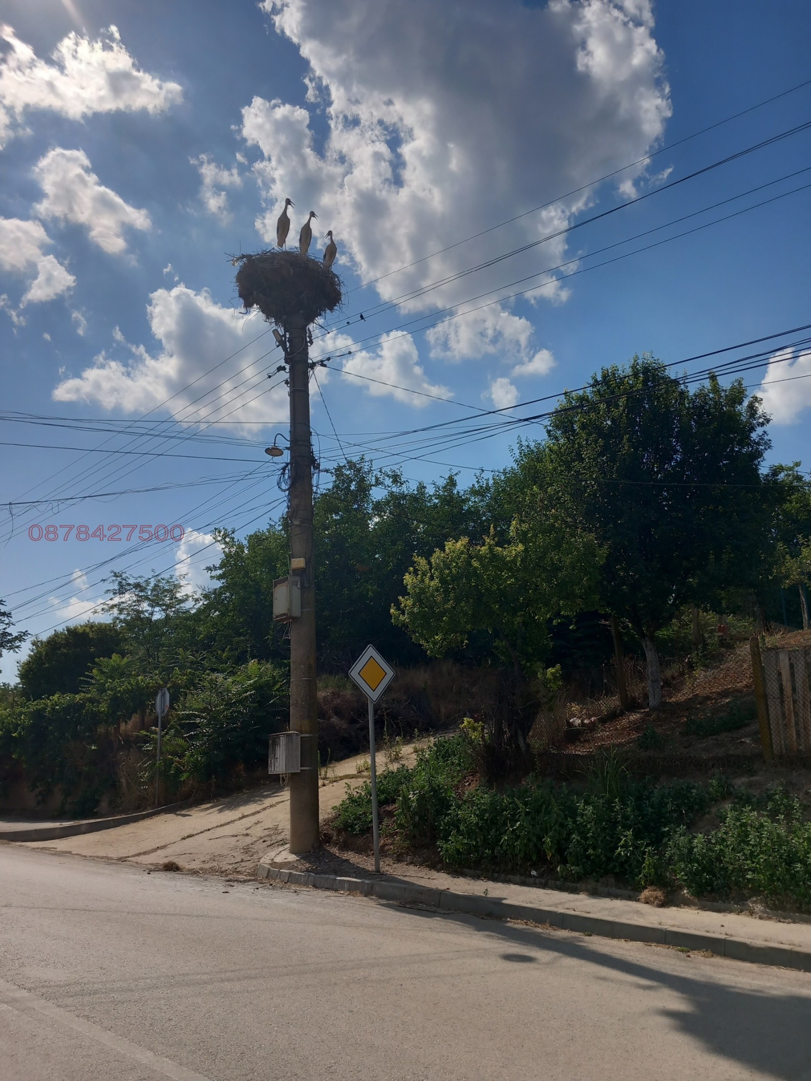 ������� ���� | Imot.bg � ����������� 12