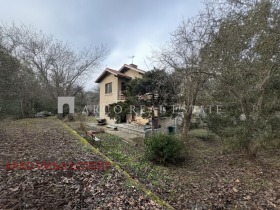 ����� ������� ����,���� �����, ����������