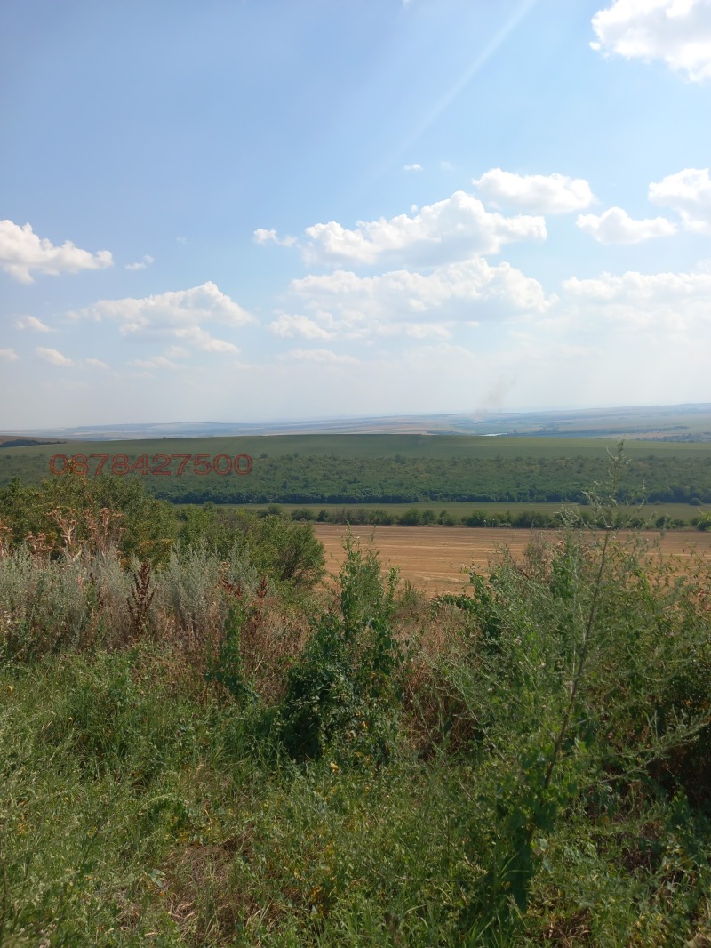 Продава КЪЩА, с. Овча могила, област Велико Търново, снимка 15 - Къщи - 53415777