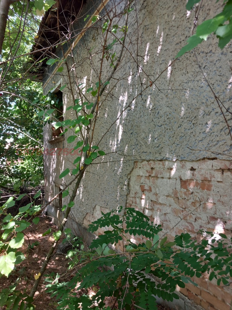 Продава КЪЩА, с. Овча могила, област Велико Търново, снимка 14 - Къщи - 53415777