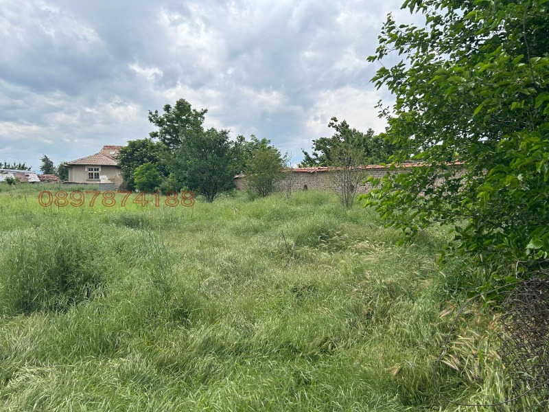 Продава КЪЩА, с. Черногорово, област Пазарджик, снимка 16 - Къщи - 52785300