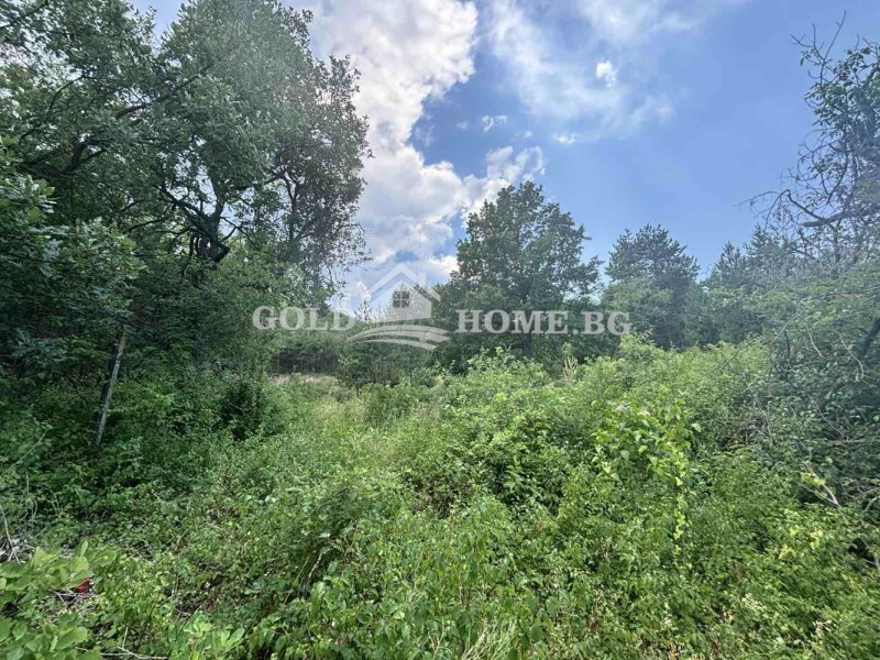 Na prodej  Spiknutí oblast Plovdiv , Svežen , 2300 m2 | 68698009 - obraz [2]