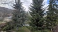 Продава КЪЩА, гр. София, с. Бистрица, снимка 14