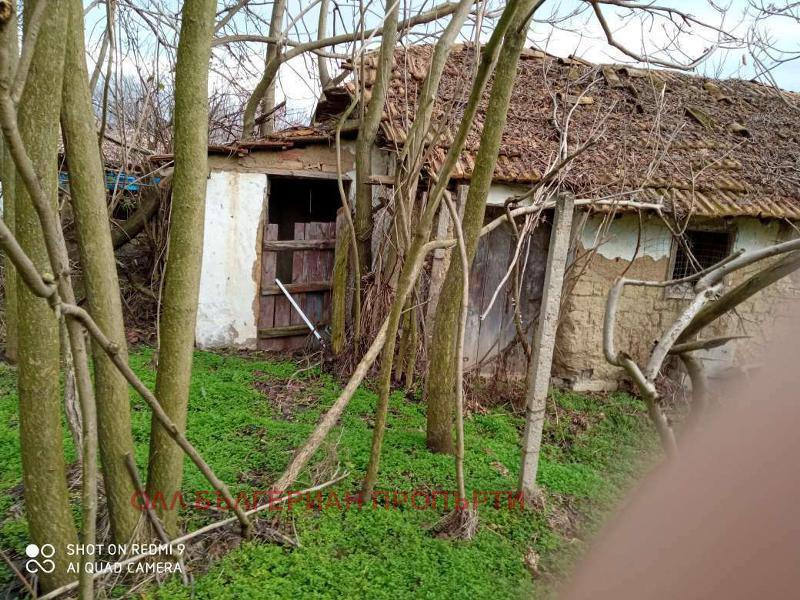 Продава КЪЩА, с. Овча могила, област Велико Търново, снимка 5 - Къщи - 44531549