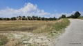 Продава  Парцел област София , гр. Момин проход , 4989 кв.м | 30729475 - изображение [7]