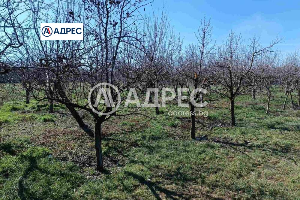 ������� ���� | Imot.bg � ����������� 5