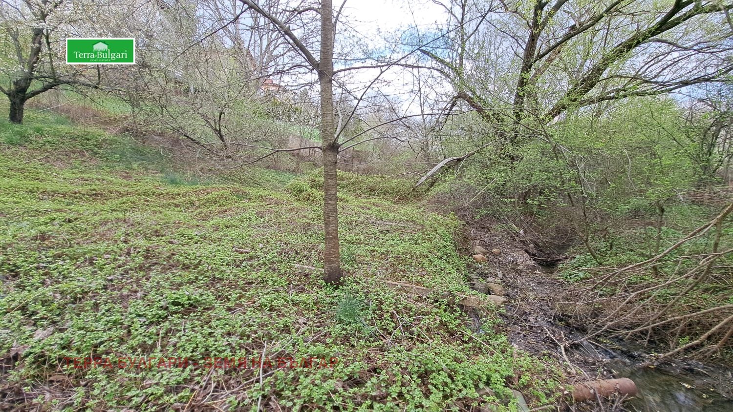 Продава ПАРЦЕЛ | Imot.bg — изображение 11