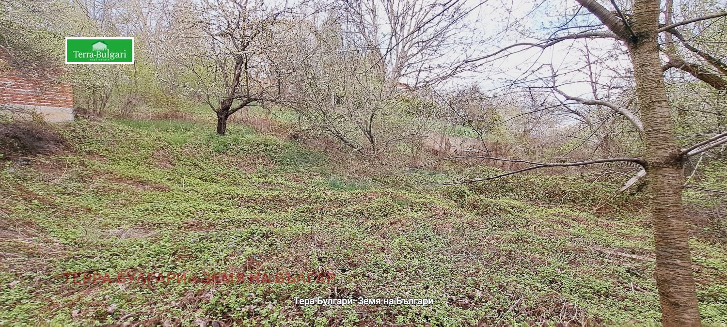 Продава ПАРЦЕЛ | Imot.bg — изображение 7