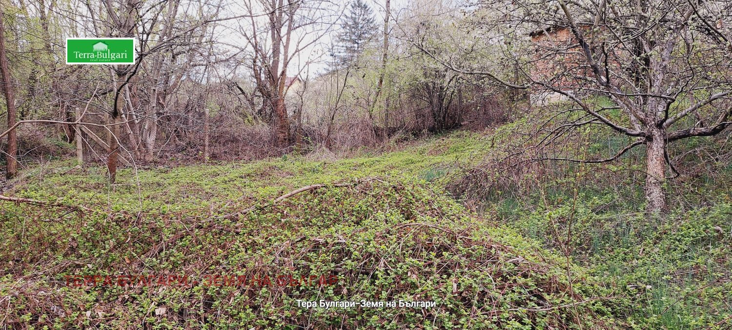 Продава ПАРЦЕЛ | Imot.bg — изображение 6