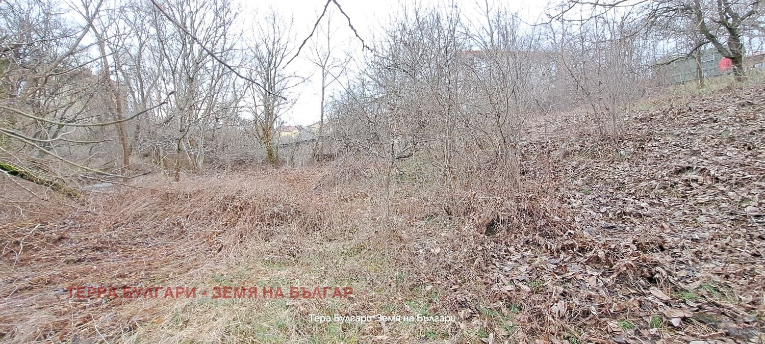 ������� ������ | Imot.bg � ����������� 16