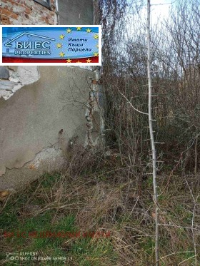 ����� ������� ����,��. �����, ������ ������