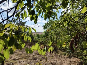 Cselekmény Novo selo, régió Ruse 1