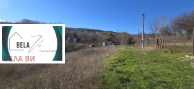 ������ ������� ������