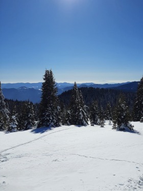 ������� ������ | Imot.bg � ����� ������ 5