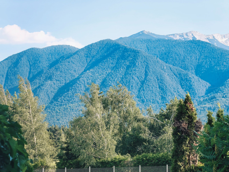 Te koop  Studio regio Blagoëvgrad , Bansko , 45 m² | 93786330 - afbeelding [2]