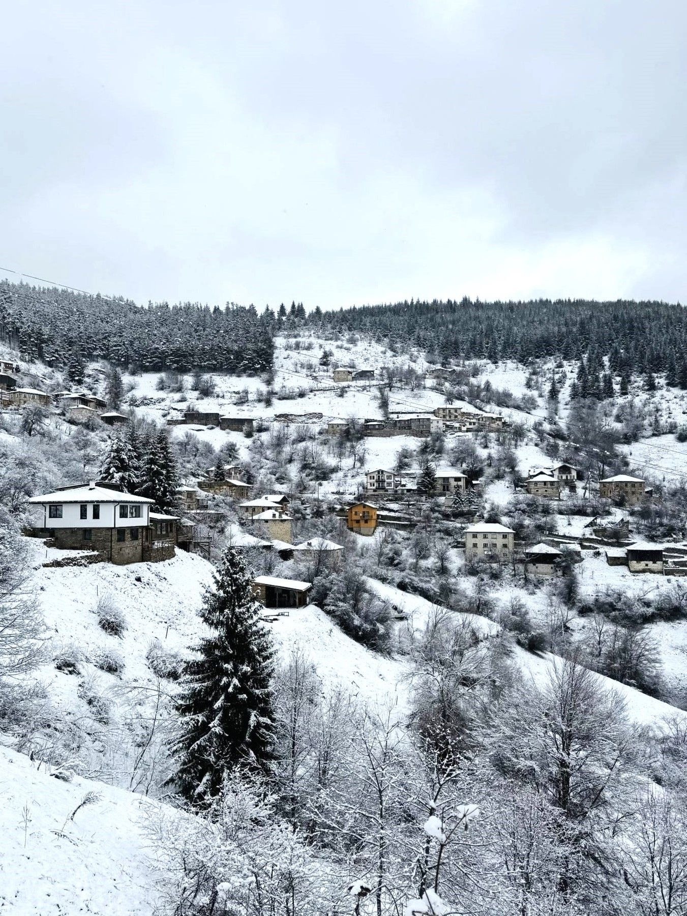 Продава ПАРЦЕЛ, с. Зорница, област Смолян, снимка 3 - Парцели - 53605223