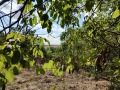 Продава ПАРЦЕЛ, с. Ново село, област Русе, снимка 1