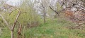 Продава ПАРЦЕЛ, град София, с. Иваняне • по договаряне • 69202909 — Holmes.bg