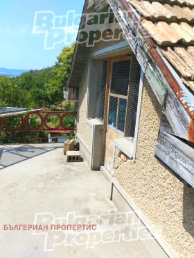 ����� ������� ����,���� �����, ���������