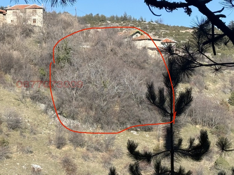 Продава ПАРЦЕЛ, гр. Асеновград, област Пловдив, снимка 2 - Парцели - 53500622