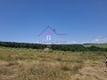 Продава ПАРЦЕЛ, с. Юнец, област Варна, снимка 7