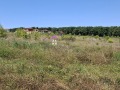 Продава ПАРЦЕЛ, с. Юнец, област Варна, снимка 5