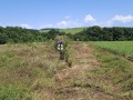 Продава  Парцел област Варна , с. Юнец , 5000 кв.м | 18521030 - изображение [3]
