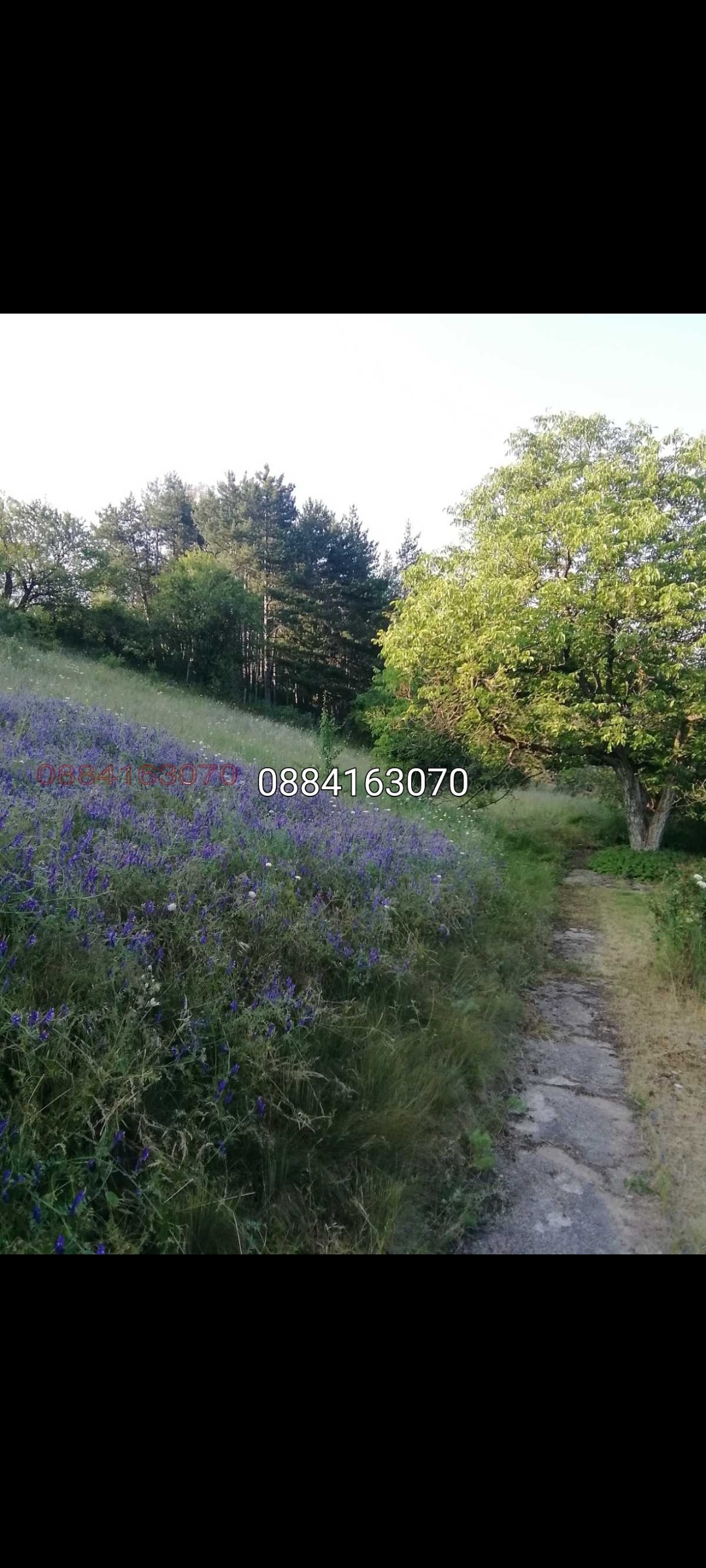 ������� ���� | Imot.bg � ����������� 14