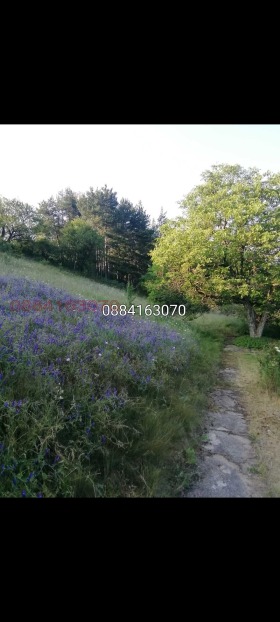 ������� ���� | Imot.bg � ����� ������ 14