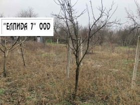 Продажба на имоти в с. Дебово, област Плевен - изображение 5 
