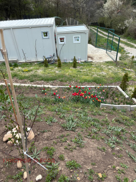 ������� ������ ������ | Imot.bg � ����� ������ 12
