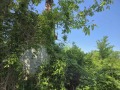Продава ПАРЦЕЛ, град Велико Търново, Зона Б • 38000 € • 67837126 — Holmes.bg