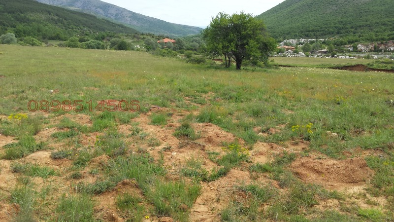 Na prodej  Přistát oblast Blagoevgrad , Gajtaninovo , 4.28 dka | 69549429 - obraz [3]