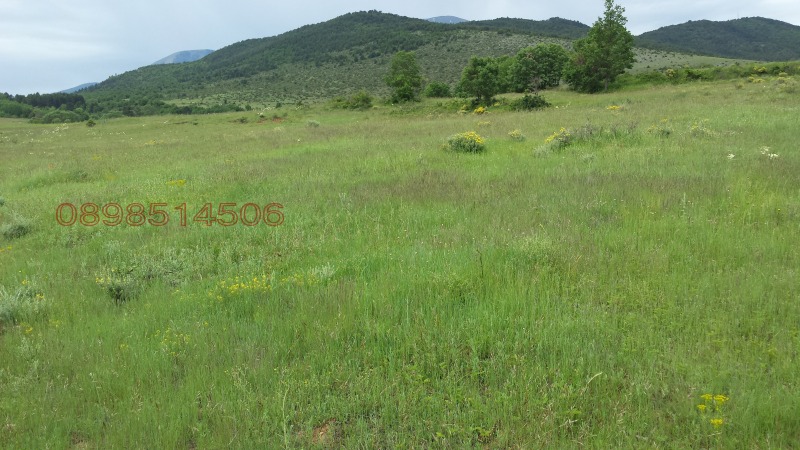 Na prodej  Přistát oblast Blagoevgrad , Gajtaninovo , 4.28 dka | 69549429 - obraz [2]