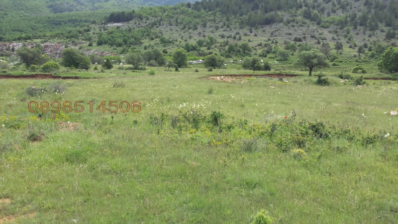 Na prodej  Přistát oblast Blagoevgrad , Gajtaninovo , 4.28 dka | 69549429 - obraz [4]