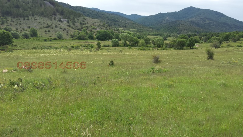 Na prodej  Přistát oblast Blagoevgrad , Gajtaninovo , 4.28 dka | 69549429 - obraz [5]
