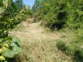 Продава ПАРЦЕЛ, с. Манаселска река, област София област, снимка 3