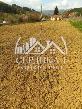 À venda Trama