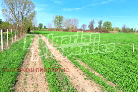 ������ ������� ������