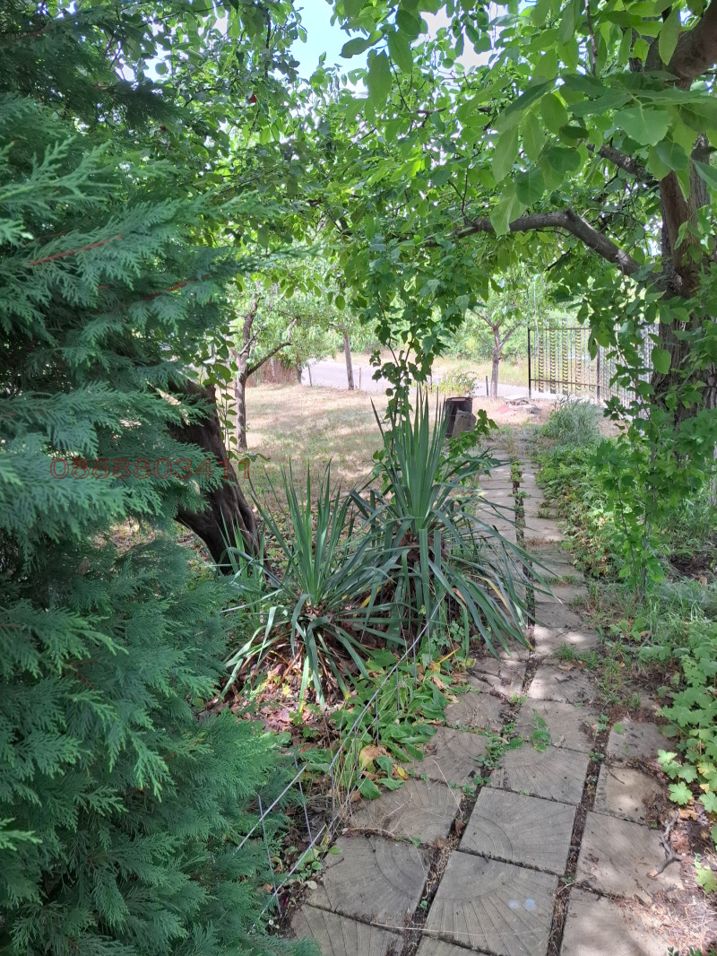 Till salu  Hus Sofia , Bankja , 180 kvm | 57023788 - bild [16]