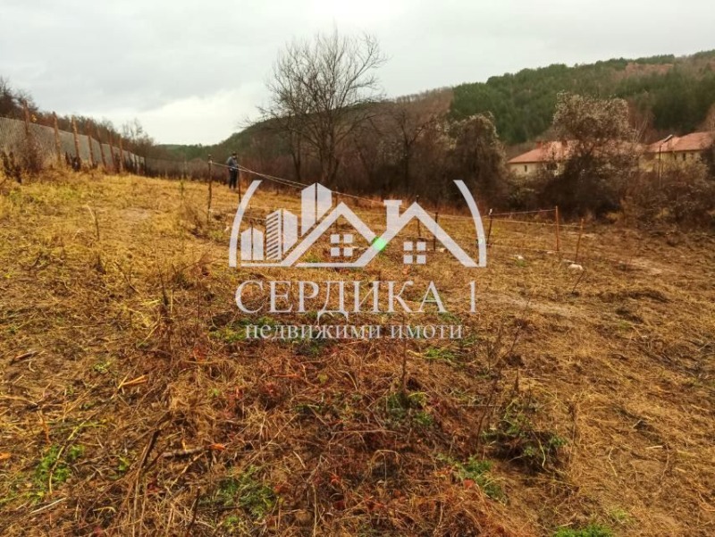 Eladó  Cselekmény régió Kyustendil , Zgurovo , 3799 négyzetméter | 27500461 - kép [3]