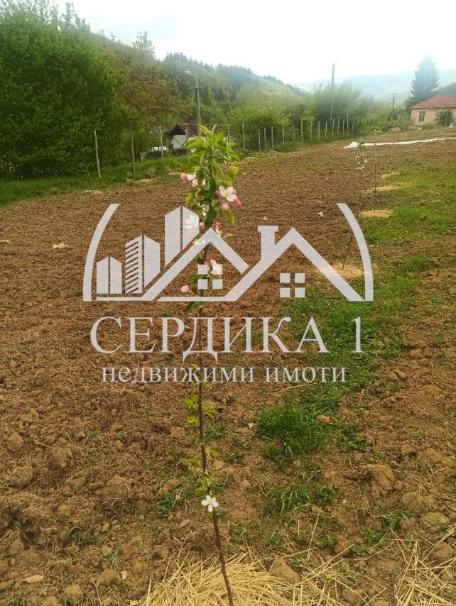 Eladó  Cselekmény régió Kyustendil , Zgurovo , 3799 négyzetméter | 27500461 - kép [5]