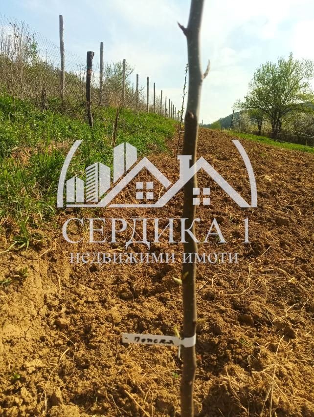 Eladó  Cselekmény régió Kyustendil , Zgurovo , 3799 négyzetméter | 27500461 - kép [2]