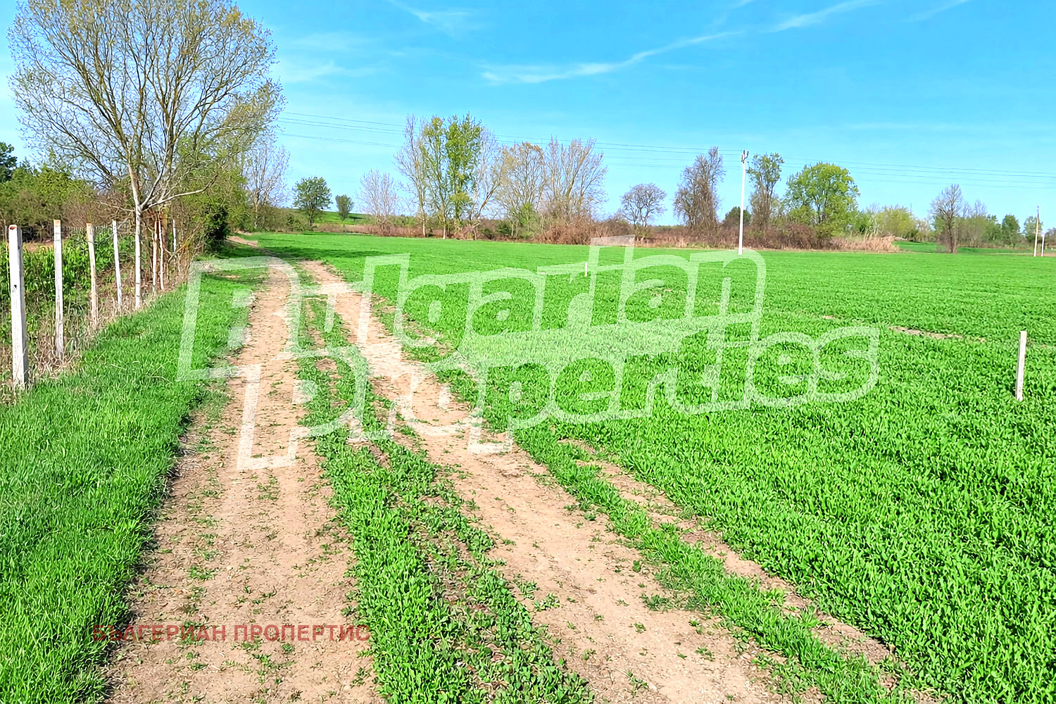 Продава ПАРЦЕЛ, с. Брестовица, област Пловдив