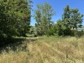 Продава ПАРЦЕЛ, област Бургас, к.к. Слънчев бряг • 700000 € / 1369081.00 лв. • 71305186 4