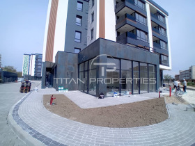 ����� ������� �������,���� �������, ������