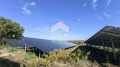 Продава ПАРЦЕЛ, област Русе, с. Борисово • 259000 € / 506559.97 лв. • 44665407 3