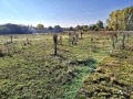 Продава ПАРЦЕЛ, град Перник, Църква • 110000 € / 215141.30 лв. • 68319343 1